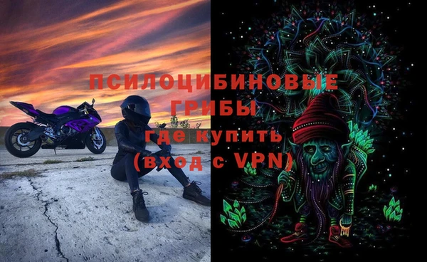 мдпв Абаза