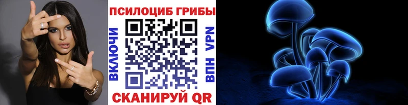 Галлюциногенные грибы Psilocybe  закладка  Лабытнанги 